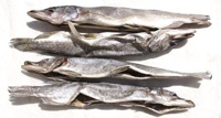 Picture of Pike Dried 700g portion