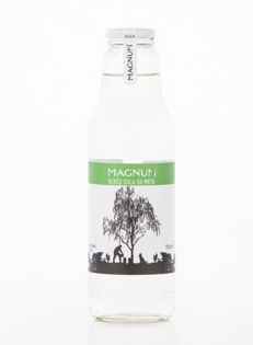 Picture of Magnum Birch Sap with Mint 750ml