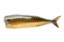 Picture of Cold Smoked Mackerel 1 pcs