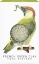 Picture of Konjac Mini Pore Refiner Woodland Woodpecker with French Green Clay-1pcs