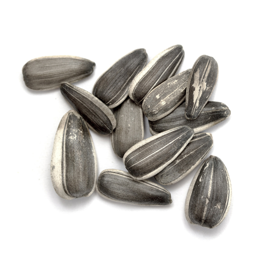 Picture of Raw Sunflower Seeds 300g