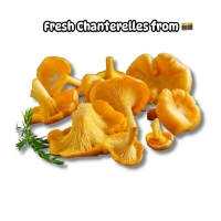 Изображение Свежие лисички 200г (сезонные)