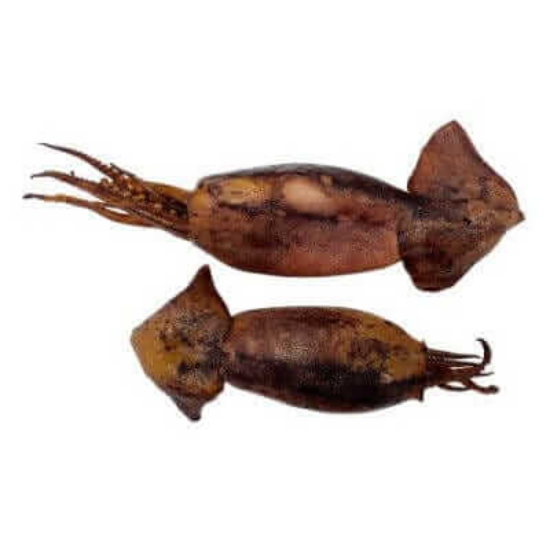 Picture of Hot Smoked Squids Tube - ± 200g