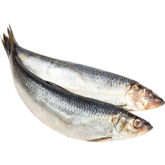 Picture of Lightly Salted Herring, high-fat ± 1.4kg